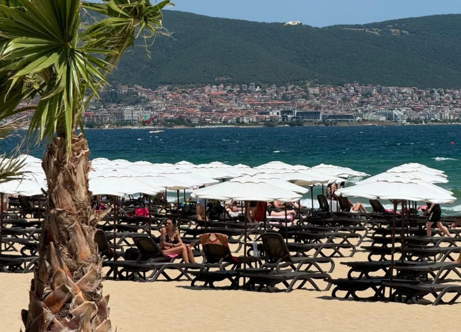 Студия В Болгарии Солнечный Берег 0*, Sunny Beach Bulgaria
